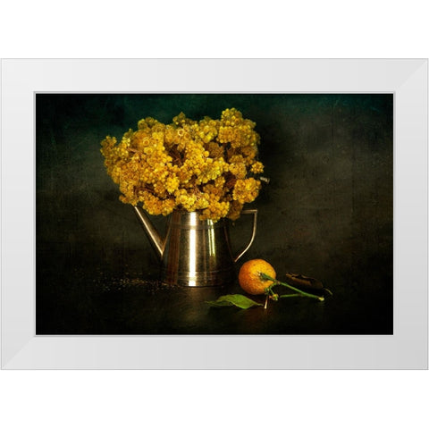 Helichrysum Arenarium/Altapn Otu White Modern Wood Framed Art Print by Sahin, Ramiz