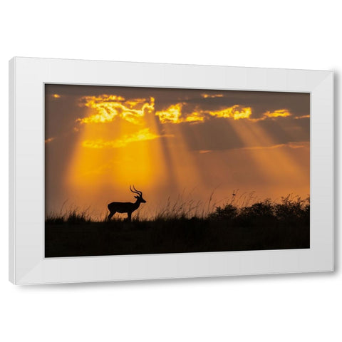 Rays Of Divinity White Modern Wood Framed Art Print by Bhatia, Yogesh