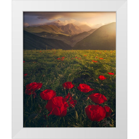 Flowers on Fire White Modern Wood Framed Art Print by Sulaiman Alshehhi, Ahmed