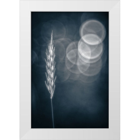 Lines a Circles White Modern Wood Framed Art Print by Eisenmann, Ulrike