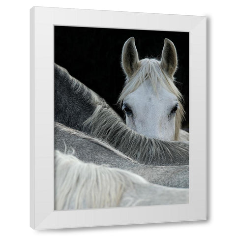 Look White Modern Wood Framed Art Print by Malovrh, Milan