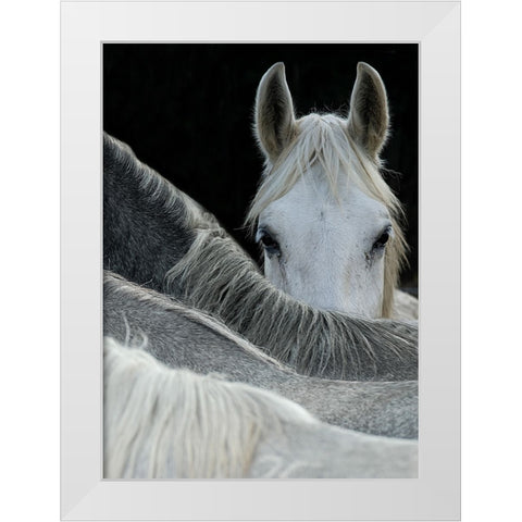 Look White Modern Wood Framed Art Print by Malovrh, Milan