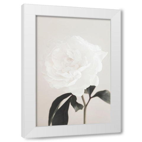 Peony 03 White Modern Wood Framed Art Print by 1x Studio III