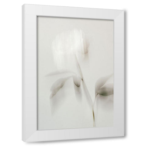 Peony 06 White Modern Wood Framed Art Print by 1x Studio III