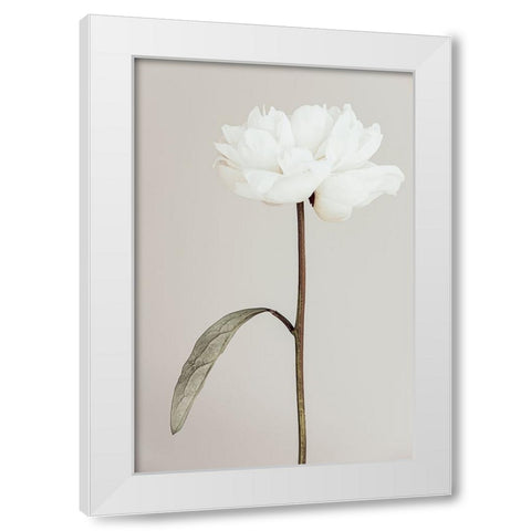 Peony 07 White Modern Wood Framed Art Print by 1X Studio III