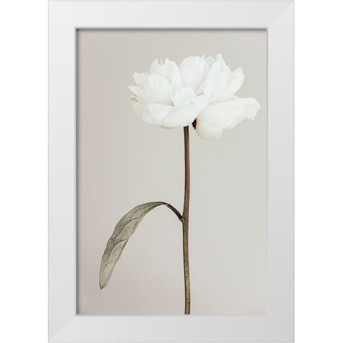 Peony 07 White Modern Wood Framed Art Print by 1X Studio III