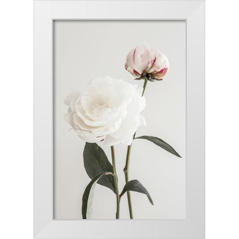 Peony 12 White Modern Wood Framed Art Print by 1x Studio III
