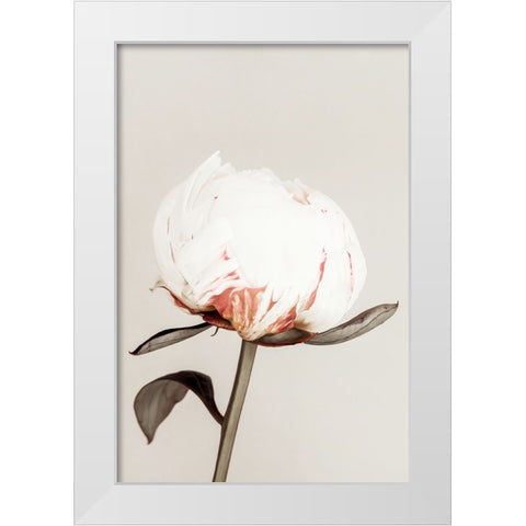 Peony 13 White Modern Wood Framed Art Print by 1x Studio III