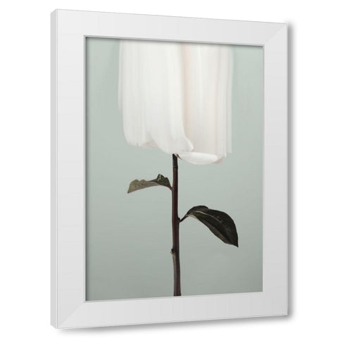 Peony 17 White Modern Wood Framed Art Print by 1x Studio III