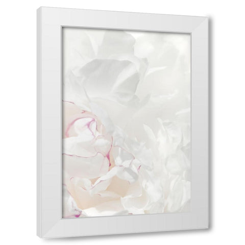 Peony 21 White Modern Wood Framed Art Print by 1x Studio III