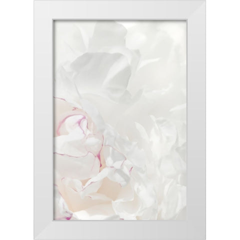 Peony 21 White Modern Wood Framed Art Print by 1x Studio III