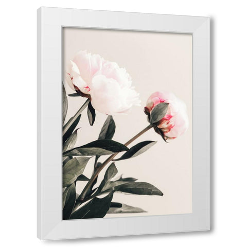 Peony 23 White Modern Wood Framed Art Print by 1x Studio III