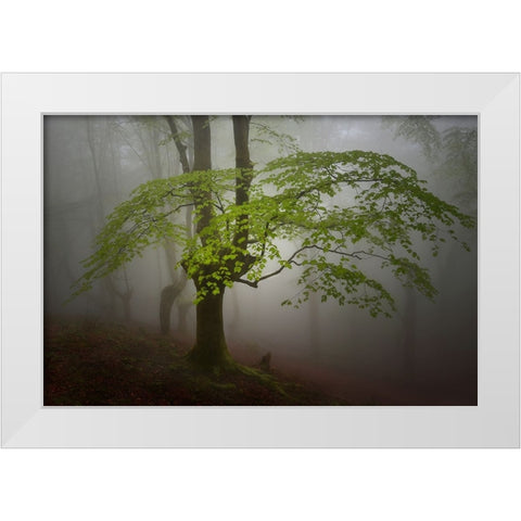 Green Leaves. White Modern Wood Framed Art Print by Uranga, Pedro