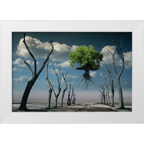 I Want To Fly White Modern Wood Framed Art Print by Penchev, Radoslav