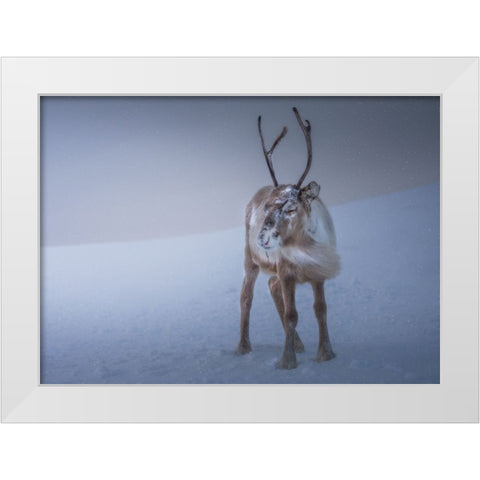 Against The Elements White Modern Wood Framed Art Print by Venier, Giovanni