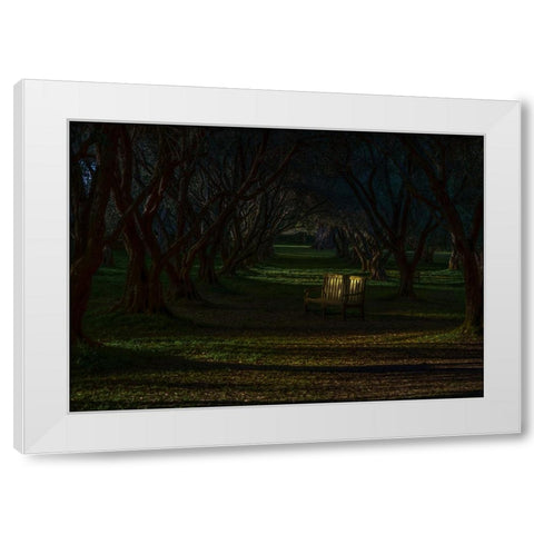 Empty Chair White Modern Wood Framed Art Print by Tseng, Judy
