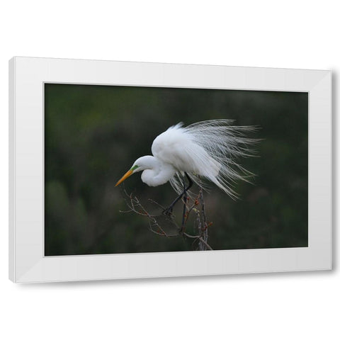 Morning White Modern Wood Framed Art Print by Wan, Anna