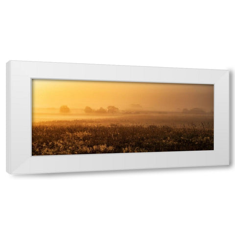 MorningMood White Modern Wood Framed Art Print by Mus, Jurgen