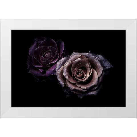 Roses White Modern Wood Framed Art Print by Julie, Angel