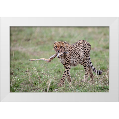 One Leg White Modern Wood Framed Art Print by Catta, Alessandro