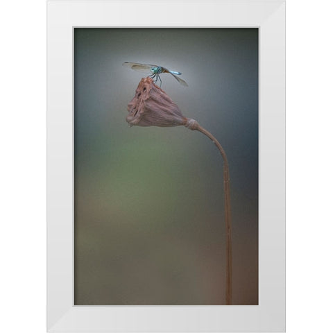 Summer White Modern Wood Framed Art Print by Lu, Linda