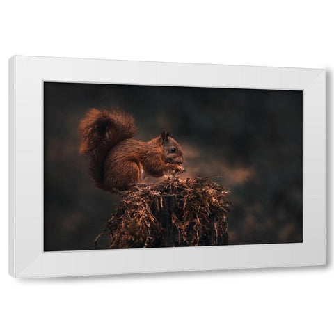 Dark Forest White Modern Wood Framed Art Print by J Ter, Gert