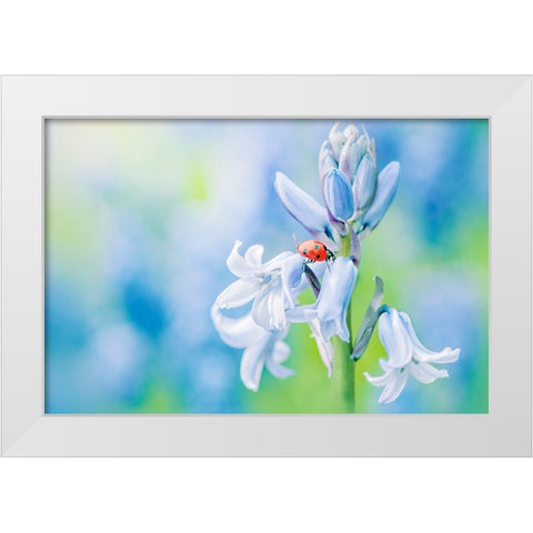 Lady In Blue White Modern Wood Framed Art Print by Parker, Jacky