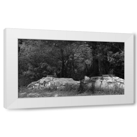 Dissolve White Modern Wood Framed Art Print by Coskun, Ilker
