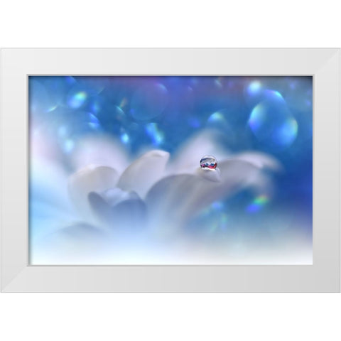 The Song Of The Sea...III White Modern Wood Framed Art Print by Nan, Juliana