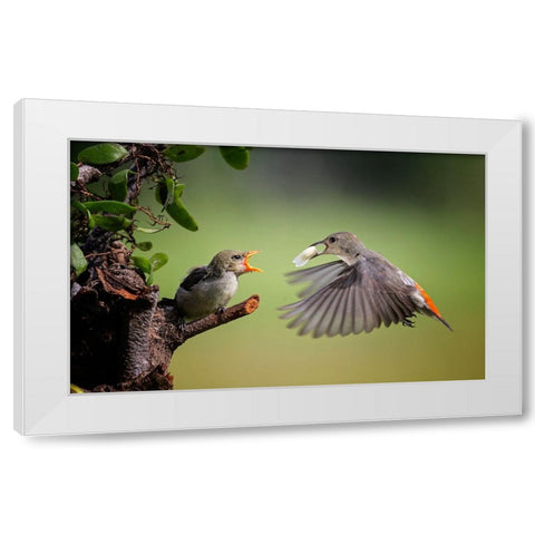 I Am Coming White Modern Wood Framed Art Print by Muliani Hartojo, Angela