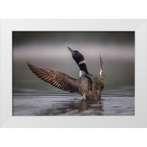 Splash White Modern Wood Framed Art Print by Dan, Kai