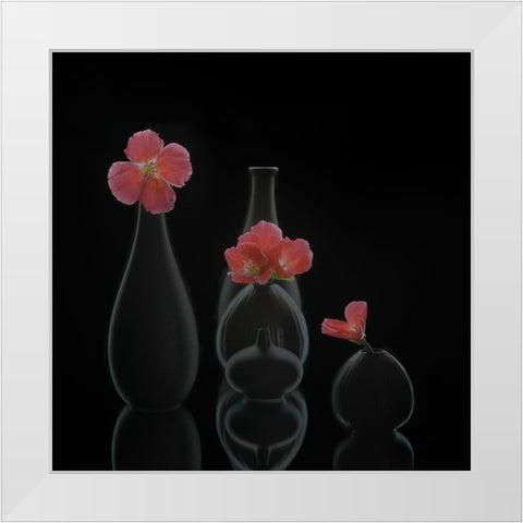 Still Life 46 White Modern Wood Framed Art Print by Sheng, Alice