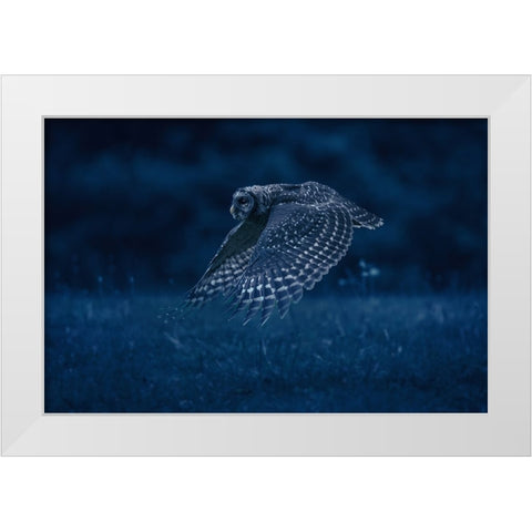 Night Patrol White Modern Wood Framed Art Print by Li, Rob