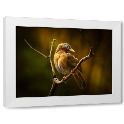 Beautiful Costume White Modern Wood Framed Art Print by Hirai, Takiko