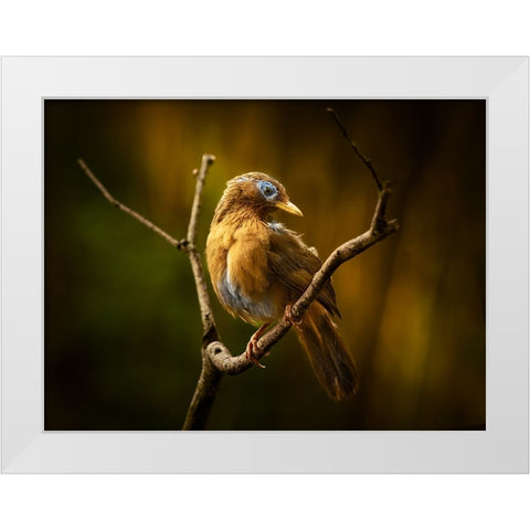 Beautiful Costume White Modern Wood Framed Art Print by Hirai, Takiko