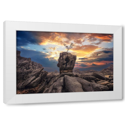 Pine Tree On The Rock White Modern Wood Framed Art Print by Seo, Tiger