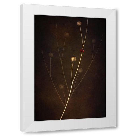 Summer White Modern Wood Framed Art Print by Kiral, Cicek