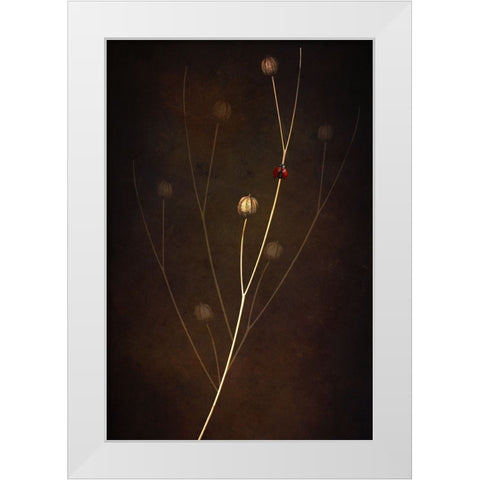 Summer White Modern Wood Framed Art Print by Kiral, Cicek