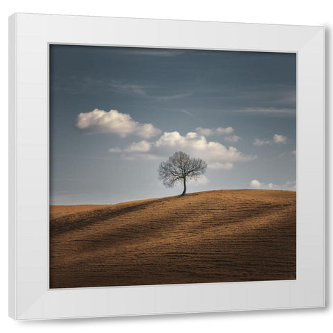 Better Alone White Modern Wood Framed Art Print by De Franzoni, Thomas