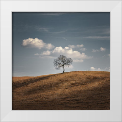 Better Alone White Modern Wood Framed Art Print by De Franzoni, Thomas
