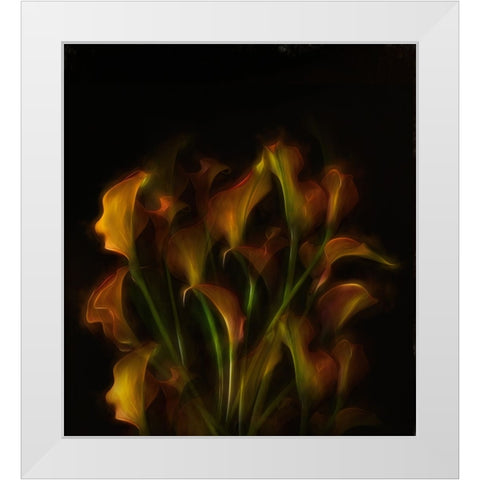 Flower Power. White Modern Wood Framed Art Print by Dingemans, Saskia