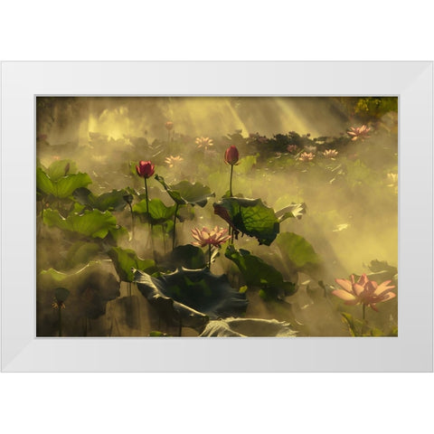 Summer lotus White Modern Wood Framed Art Print by Shi, Mei