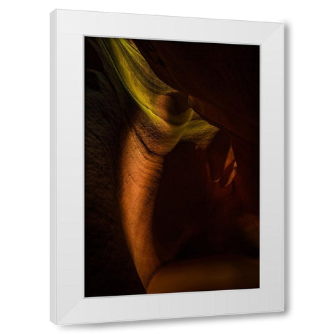 Yuca Valley White Modern Wood Framed Art Print by Zhen Yu, James