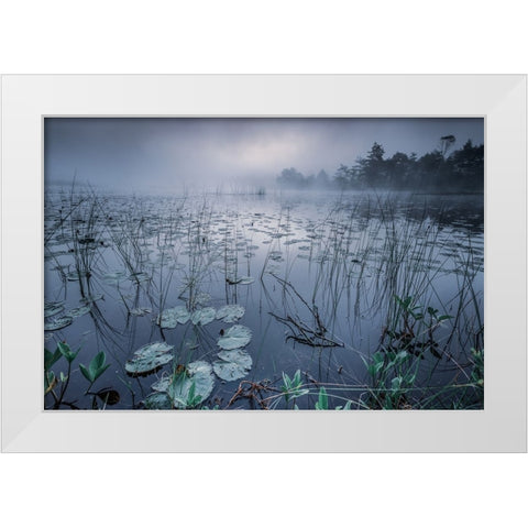 Dawn Light White Modern Wood Framed Art Print by Pettersson, Benny
