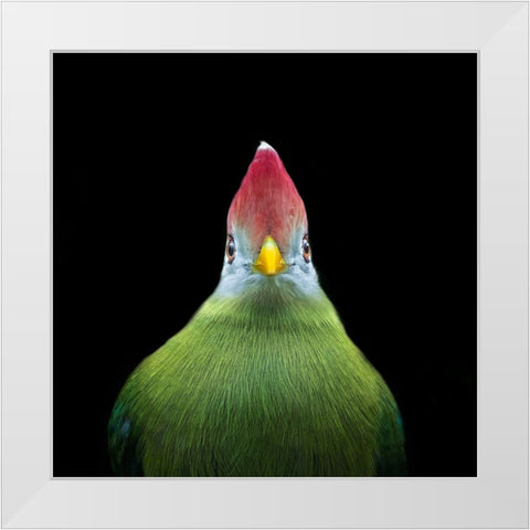 Untitled White Modern Wood Framed Art Print by Pandya, Hardik