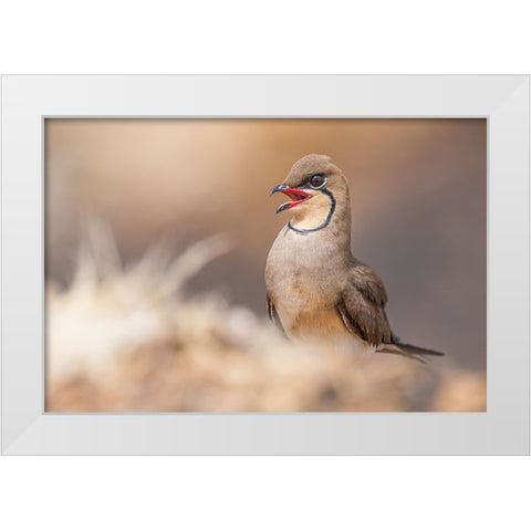 Red Lips.! White Modern Wood Framed Art Print by Elkahlawi, Ahmed