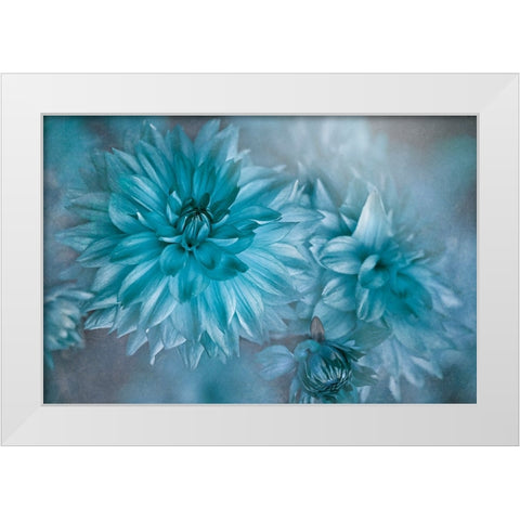 Twilight White Modern Wood Framed Art Print by Parker, Jacky