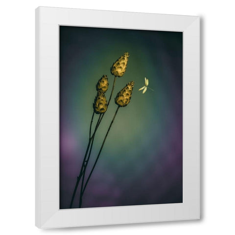 A Midsummer Fantasy White Modern Wood Framed Art Print by Kiral, Cicek