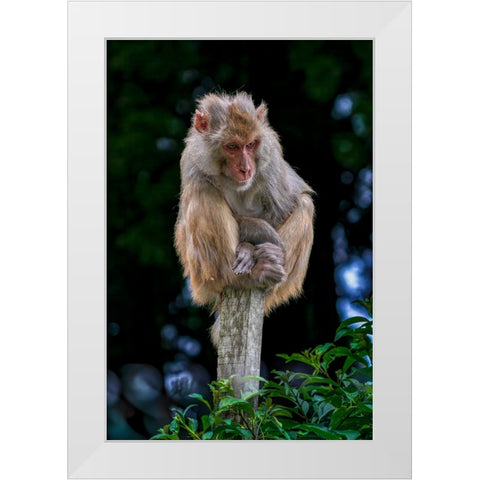 Lost In An Overcrowded World White Modern Wood Framed Art Print by Sachdeva, Samir