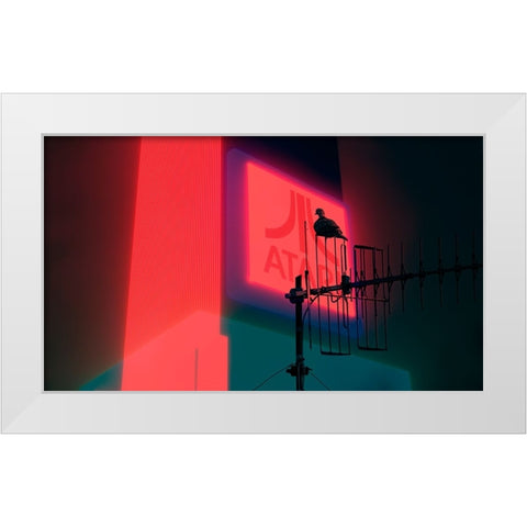 Big brother is watching you White Modern Wood Framed Art Print by Boaretto, Davide